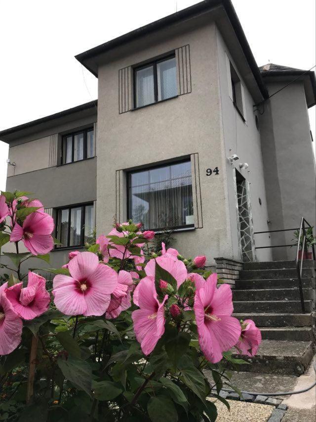 Apartman Hrubá Skála Bagian luar foto